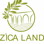Zica Land