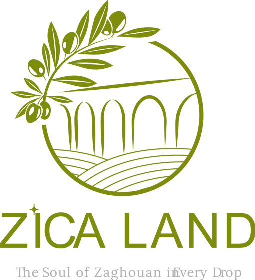 zica-land.com